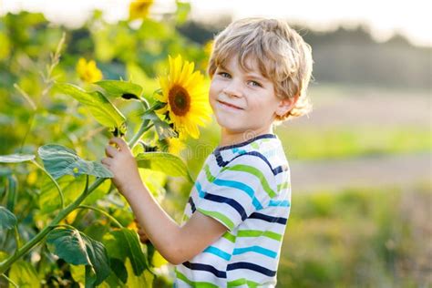 Adorable Little Blond Kid Boy On Summer Sunflower Field Outdoors Stock