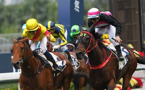 Eager to know if a horse you backed has won, placed or showed in a particular race? Hong Kong Horse Racing Tips: Ho set to close in on Cruz ...