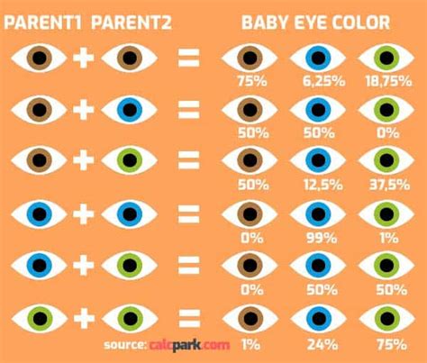 Baby Eye Color Calculator