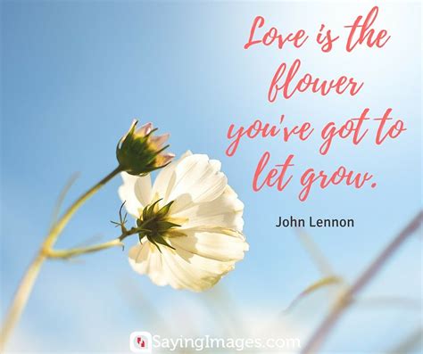 Maybe you would like to learn more about one of these? 35 Beautiful Flower Quotes To Celebrate Life, Hope, And Love | Spring quotes flowers, Flower ...