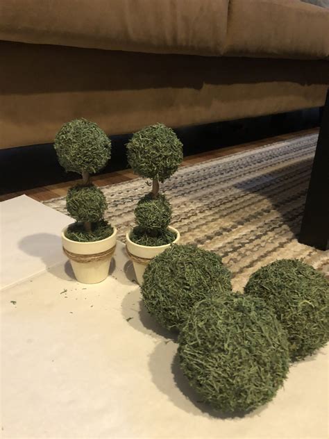 Mini Topiaries And Reindeer Moss Decorative Balls Made With Dollar Tree