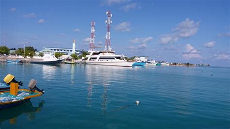 Sie wollen und können von zu hause aus arbeiten und besitzen das notwendige maß an motivation und eigenverantwortung. zu Hause! - Werner Lau Diving Centers