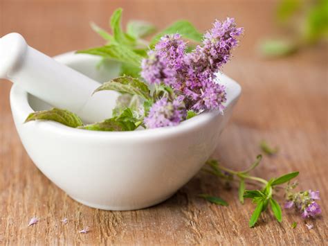 Herbal Medicine | Medical Herbs | Dr. Weil's Wellness Therapies