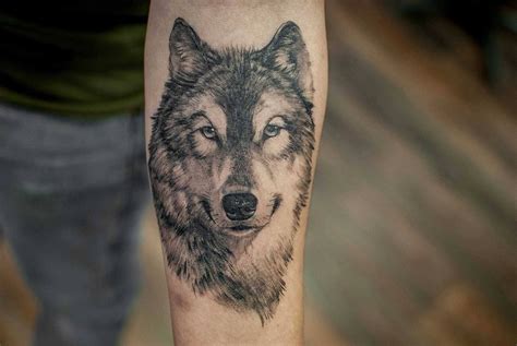 Wolf Tattoo 15 Best Ideas For Men And Women ️ Онлайн блог о тату