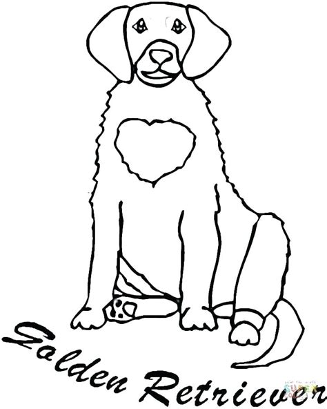 Chocolate Lab Coloring Pages At Free Printable