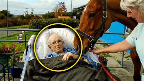 How This Woman And Her Horse Made A Mans Final Months Full Of Life