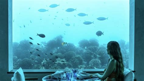 05 Underwater Restaurants You Must Dine At Im Maldives