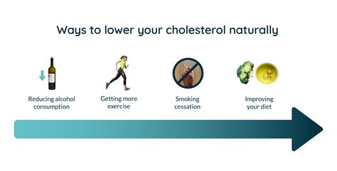 High Cholesterol Definition Causes And Treatment Phlo Blog