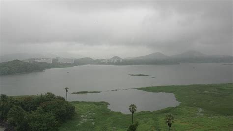 Pollution Level At Mumbais Powai Lake 8 Times Above Safe Limit Says