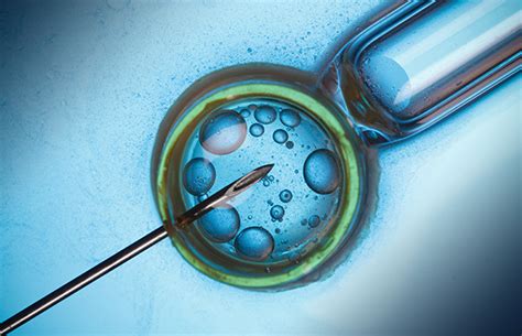 Melbourne Researchers Ivf Breakthrough