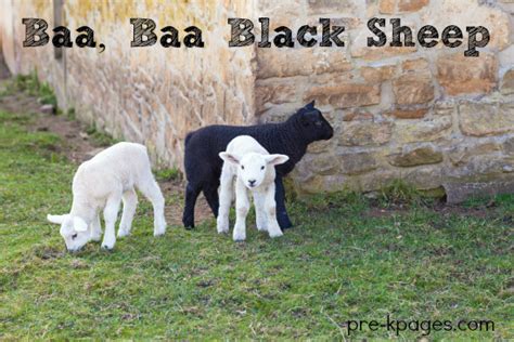 Baa, baa, black sheep, have you any wool? Baa Baa Black Sheep Nursery Rhyme Activities