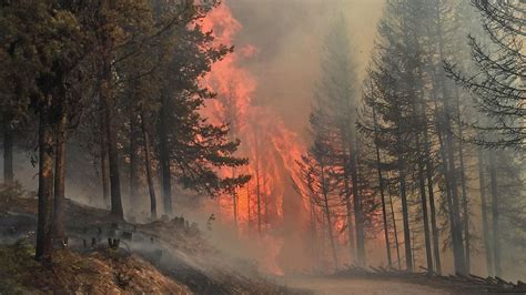 Montana Burning Dozens Of Wildfires Rage Across The State