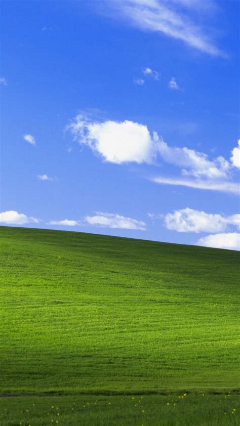 Windows Xp Bliss Wallpaper Hd