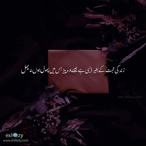 The Best 40 Life Quotes In Urdu That Will Blow Your Mind Exlazy