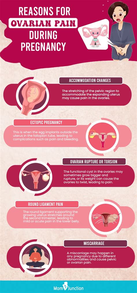 12 Causes Of Ovarian Pain In Early Pregnancy And Treatment