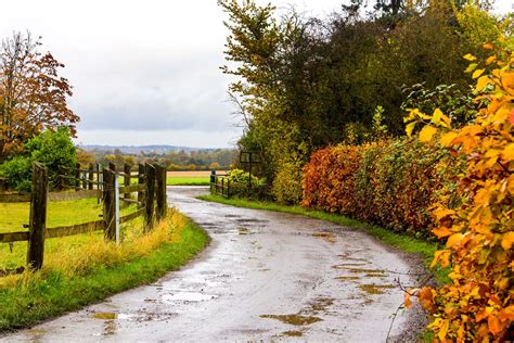 Rainy Autumn Day East Anglia England By Nicola Riley Crc Tree