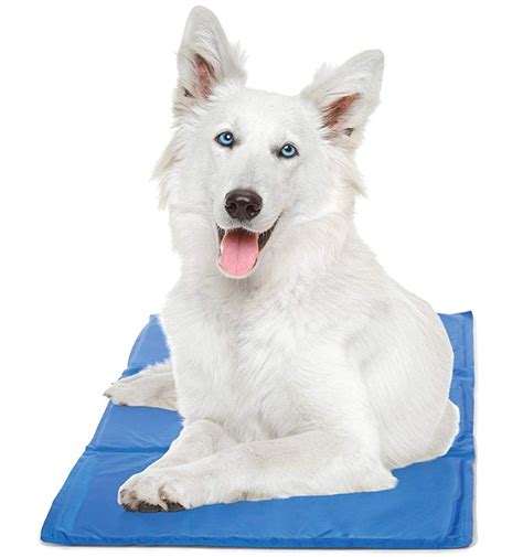 Chillz Cooling Mat For Dogs Extra Large Size Cool Pad Pressure