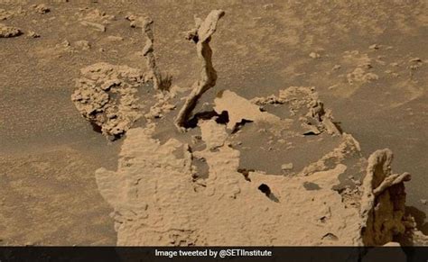 After Alien Doorway Nasas Curiosity Rover Finds Bizarre Spikes On Mars