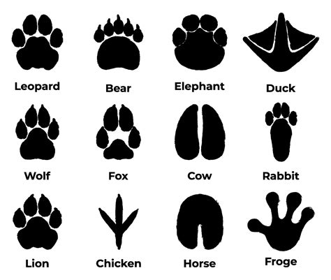 Animals Footprint In Brush Stroke Style Animals Paw Silhouette