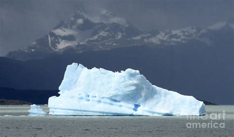 Beauty Of Icebergs Patagonia Photograph By Bob Christopher
