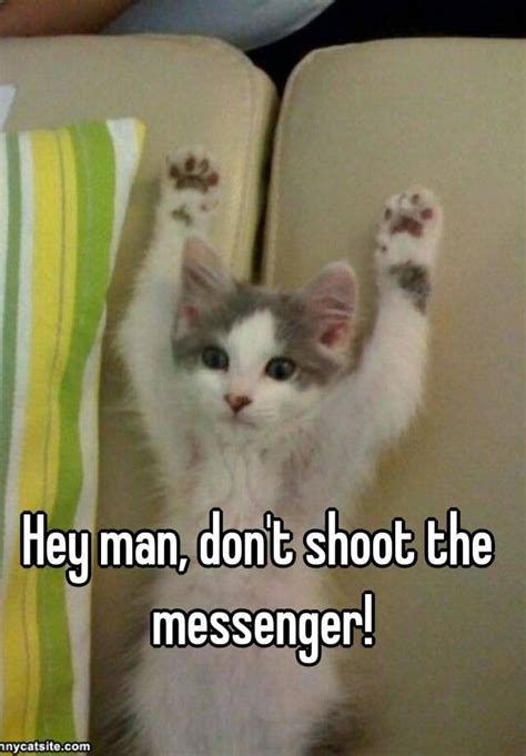 Hey Man Dont Shoot The Messenger