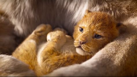 Watch First Trailer Released For New Lion King Movie
