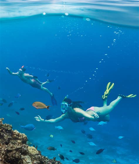 Bula Experience Snorkelling In Fiji The Official Travel Site Of The
