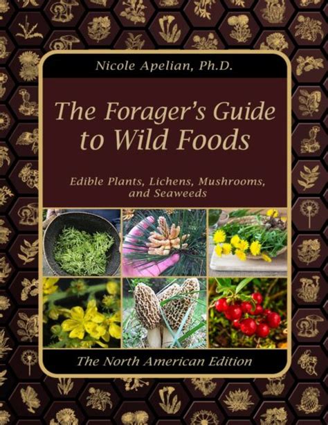 The Forager S Guide To Wild Foods By Claude Davis Sr And Nicole