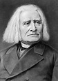 Franz Liszt - Composer, Pianist, Innovator | Britannica