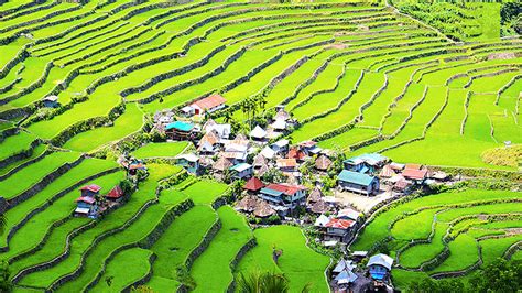 Banaue Rice Terrace The Filipino Eighth Wonder Of The World The Pinoy Cook