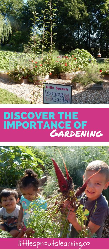 Discover The Importance Of Gardening