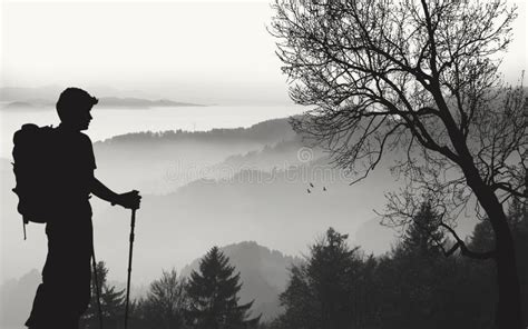 Boy Hiking Silhouette Stock Photo Image Of Silhouette 47894394