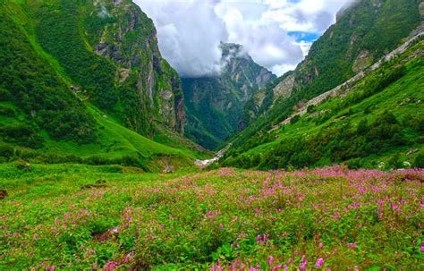 Trek To Dehradun Valley Of Flowers And Hemkund Sahib Valley Of