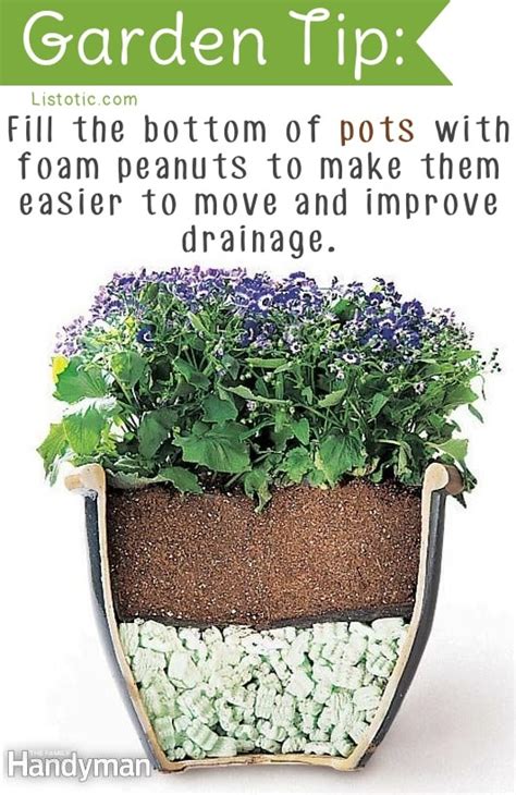 20 Insanely Clever Gardening Tips And Ideas Flowers