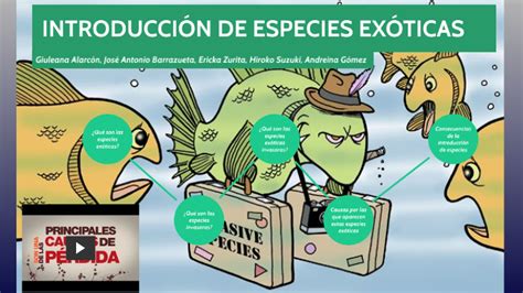 Introducción De Especies Exóticas By Giuleana Alarcon