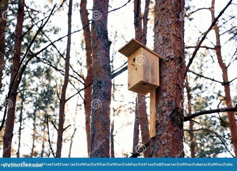 Birdhouse On A Tree In Forest Park Hand Wood Shelter For Birds To