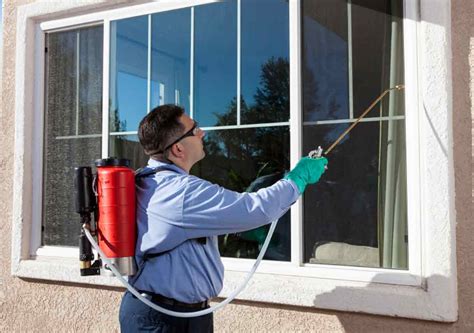 What Do Pest Control Companies Do A Typical Day In Your Technicians