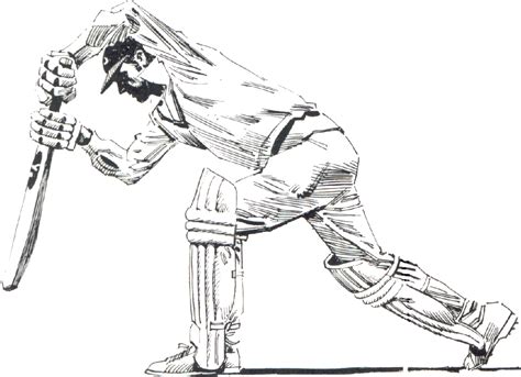 Cricket Sketch At Explore Collection Of Cricket Sketch