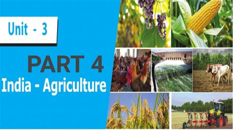 India Agriculture Part 4 Major Crops Cultivated In India Food Crops