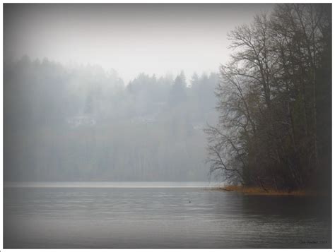 Wallpaper Fog Nature Mist Atmosphere Lake Reflection Sky Tree