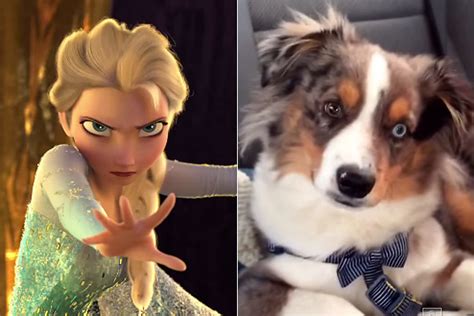 Watch This Dog Sing Along To Let It Go From Frozen Video