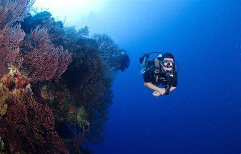 Grand Cayman Scuba Diving I Wyndham Reef Resort Grand Cayman