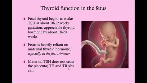 thyroid disease in pregnancy crash medical review series youtube