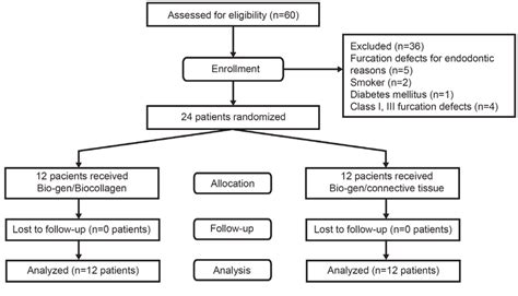 Flow Chart Summarizing The Study Process In The Two Treatment Groups