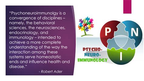Pni Psycho Neuro Immunology Integrativepsychiatry Pinterest