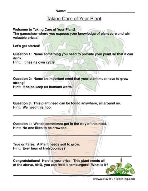 Plant Needs Worksheet By Teach Simple
