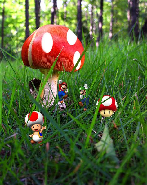 Super Mario Bros Mushroom Photograph By Joe Myeress Pixels