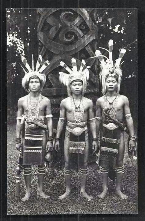 Inilah mereka para panglima dayak selain sang kumbang dan burung. PANGLIMA KUMBANG SUKU DAYAK SIAP SIAP MEMBURU PERUSUH YANG MENISTAI SUKU DAYAK. (Dengan gambar ...