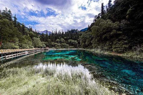 Five Flowers Lake China