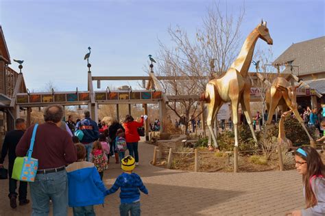 Mille Fiori Favoriti The Denver Zoo